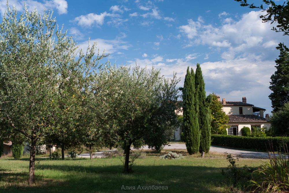 Terra Della Lanterna Bed & Breakfast Cetona Exterior photo
